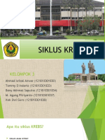 Siklus Krebs