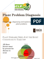 01 Alca Plant Problem Diagnosis 2020