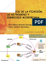 Fijacion Nitrogeno Simbiosis Microbiana