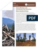 Forest Biomass and Air Emissions