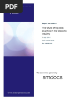 Analysys Mason Future of Big Data Jul2014