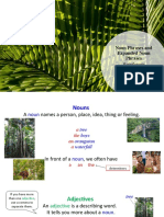 Noun Phrases and Expanded Noun Phrases: Rainforests
