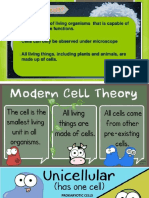 Plant and Animal Cell