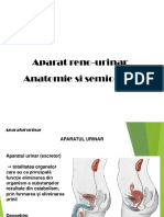 anatomie simptome EAB 