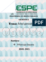 Tema: Árbol Genealógico: Piñarcaja Dayana