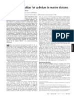 A Biological Function For Cadmium in Marine Diatoms