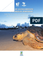 Licenciamento de empreendimentos e tartarugas marinhas