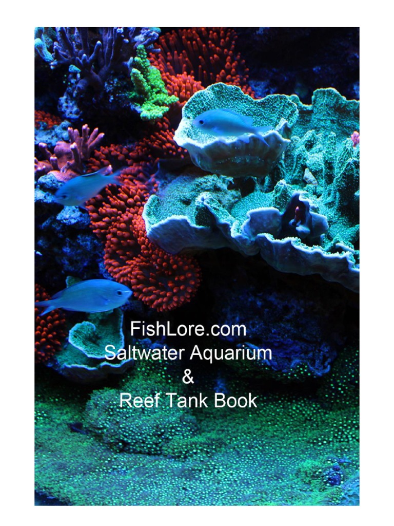 Saltwater Aquarium Reef Tank Book, PDF, Aquarium