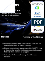 Cloud Services:: Issues & Opportunities For Service Providers