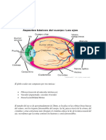Caso #3 Ojo