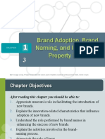 Brand Adoption, Brand Naming, and Intellectual Property Issues