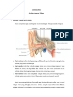 Li Anatomi Telinga (2)