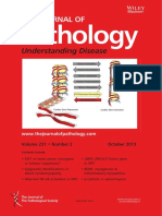 The Journal of Pathology Volume 231 Issue 2 (Doi 10.1002 - Path.2013.231.issue-2)