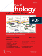 The Journal of Pathology Volume 232 Issue 4 (Doi 10.1002 - Path.2014.232.issue-4)