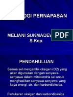 Fisiologi Pernapasan