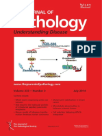 The Journal of Pathology Volume 233 Issue 3 (Doi 10.1002 - Path.2014.233.issue-3)