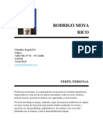 Perfil profesional Rodrigo Moya Rico ingeniero civil