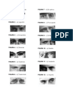 resp test de Cambridge