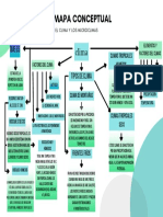 Mapa Conceptual Climas Y Microclimas 