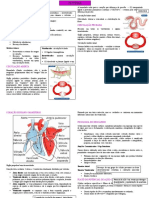 Sistema Circulatório - RESUMO