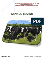 Trabajo de Produccion Agricola Animal Bovino BR Gregoria Correa