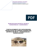 Fortalecimiento de Capacidades Productivas en Moya