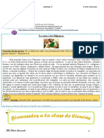 Módulo N°1 CIENCIAS 1° 03 de Diciembre 2