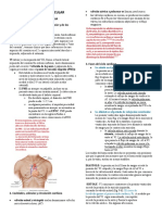 Sistema Cardiovascular - Bates