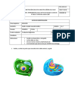 DIAGNÓSTICO BIOLOGÍA 6 Y 7