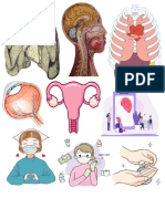 calcamnonias de anatomia y fisiologia