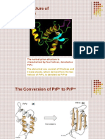 Structure of Prion: The Normal Prion Structure Is Characterized by Four Helices, Denoted As PRPC