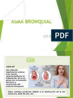 Diapositiva Del Asma