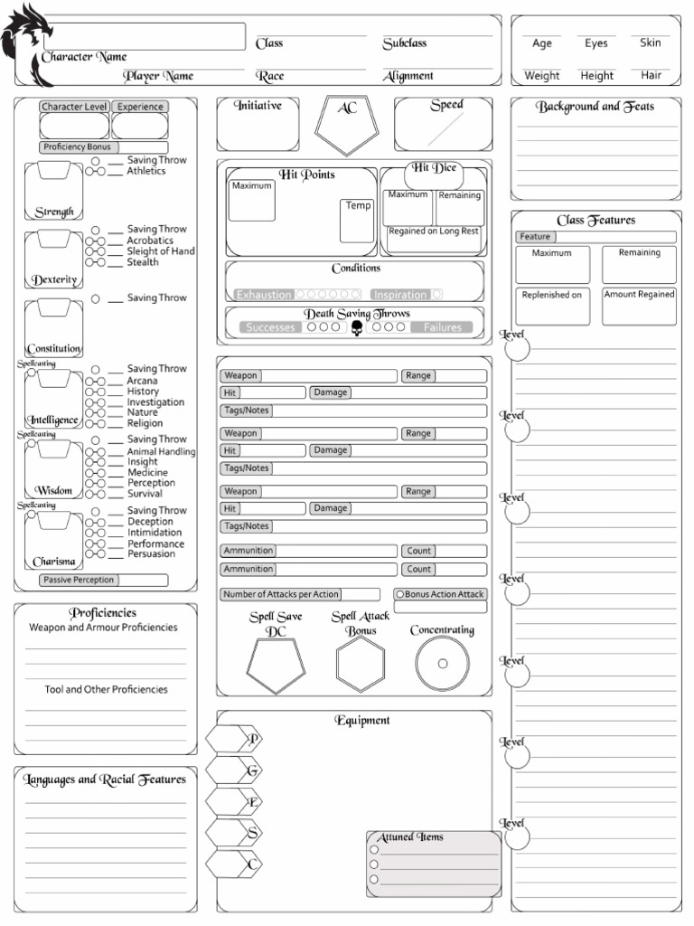 Complete Character Sheet D&D 5e PDF