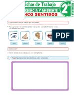 Los Cinco Sentidos para Segundo Grado de Primaria