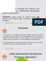 Tutorar Plantas de Cultivos