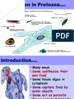 Nutrition in Protozoa