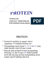 Protein Fisioterapi