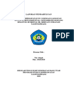 Laporan Pendahuluan KDP