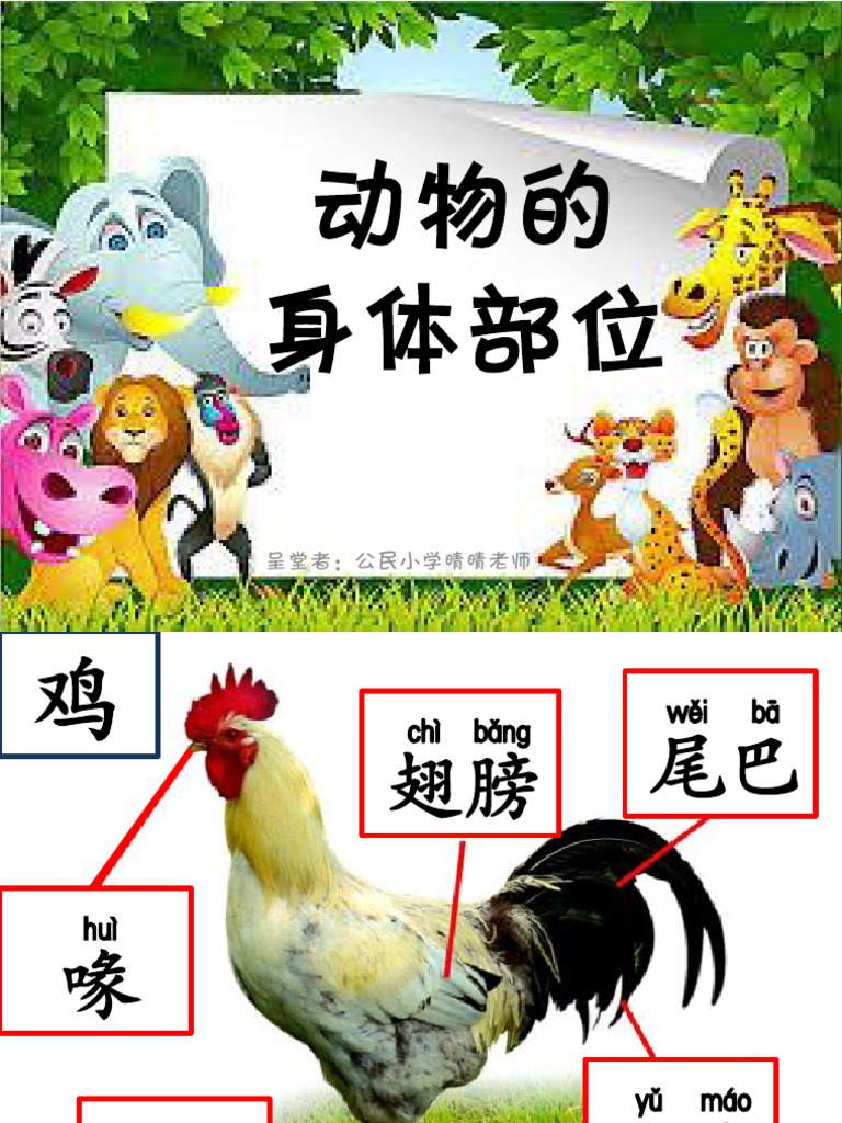 动物的身体部位名称 Pdf
