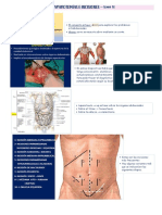 Laparotomías e incisiones quirúrgicas abdominales