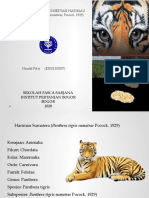 KONSERVASI HARIMAU SUMATERA