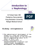 Introduction to Pediatric Nephrology