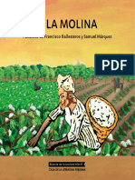 A La Molina - Version Web