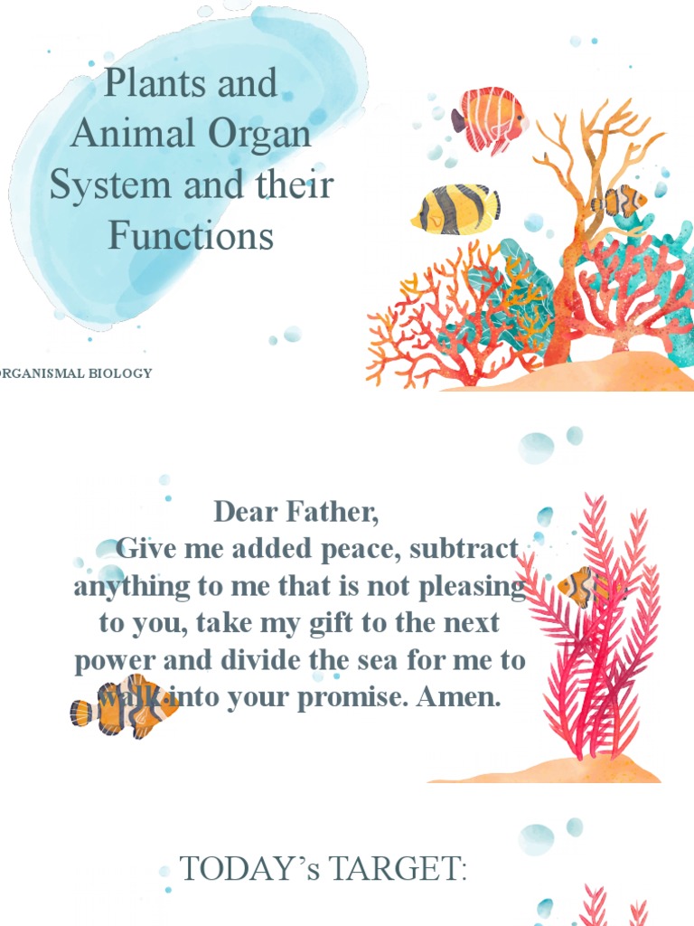 Plant and Animal Organ System and Their Functions PDF Cell Nucleus