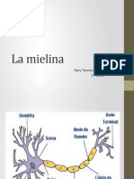 La Mielina