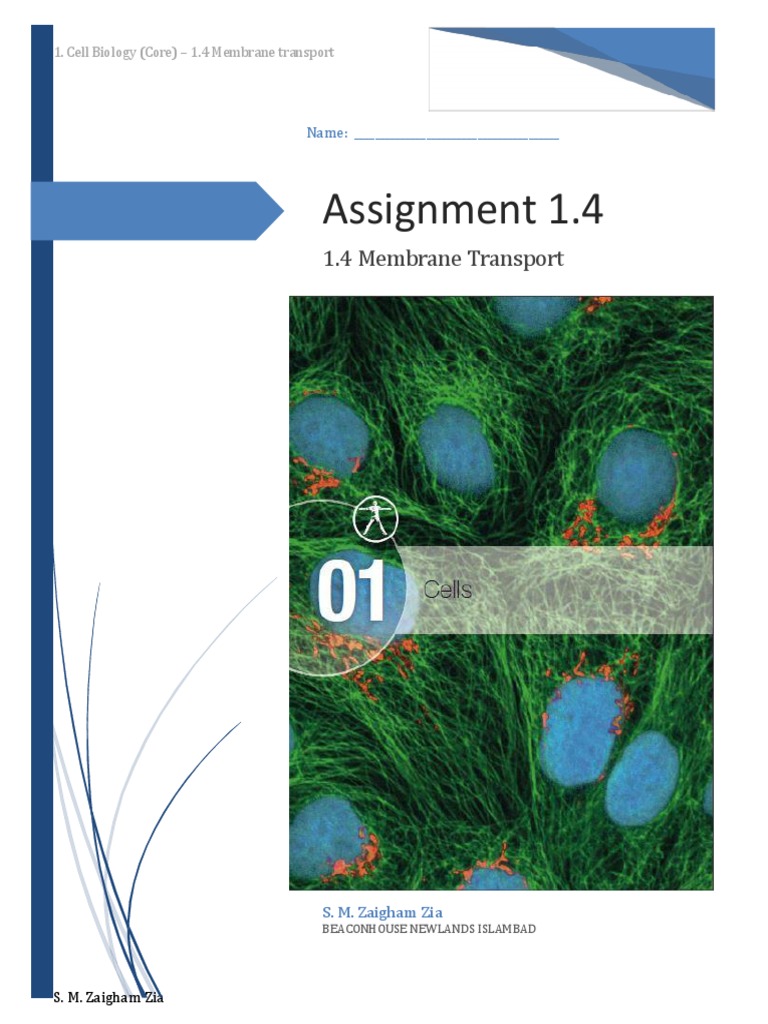 1.4 Membrane Transport Worksheet | PDF | Cell Membrane | Osmosis