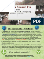 The Spanish Flu Presentation Lul