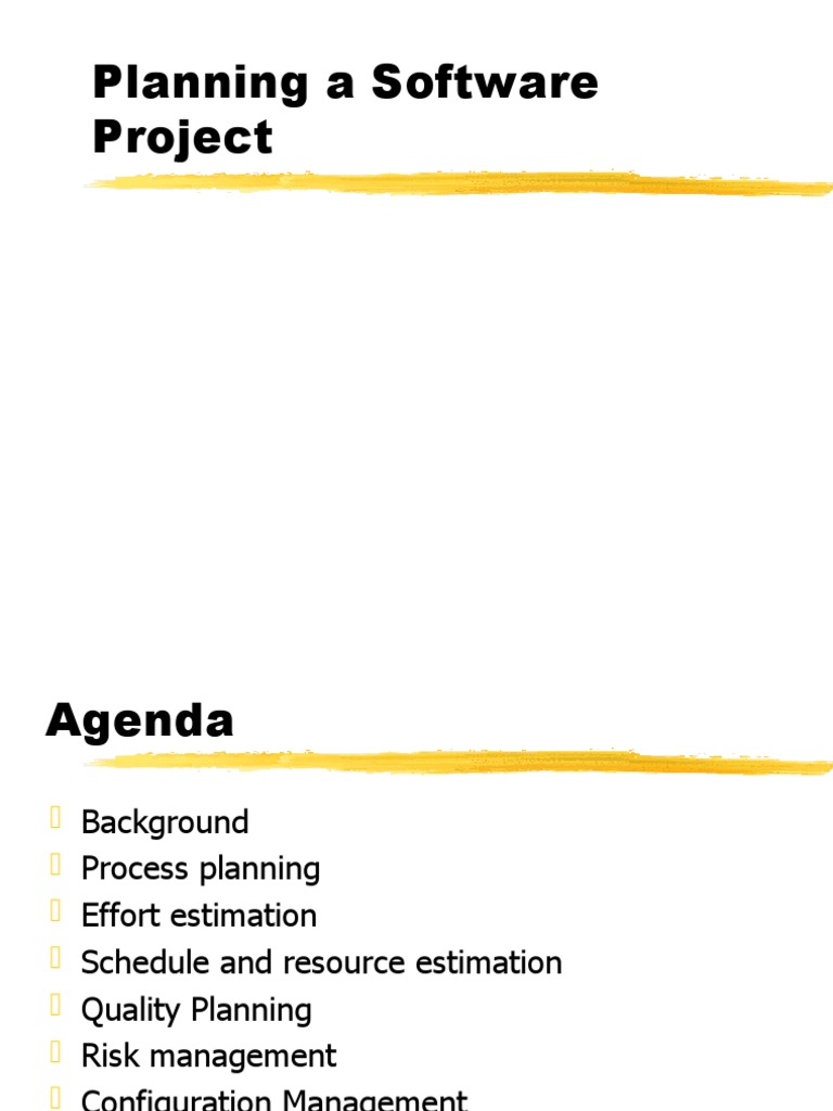 A Comprehensive Guide to Planning a Successful Software Project | PDF