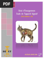 S8 Pharmacologie Dzvet360 Cours Veterinaires Insuffisance Cardiaque Cœur