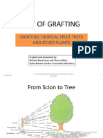 Art of Grafting: Grafting Tropical Fruit Trees and Other Plants